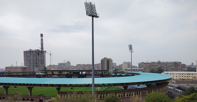 不仅表露出 不仅表露出