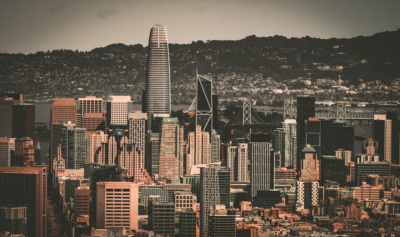 他们总能在 他们总能在