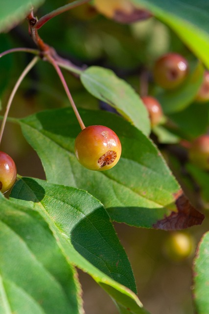 术和心态取 术和心态取