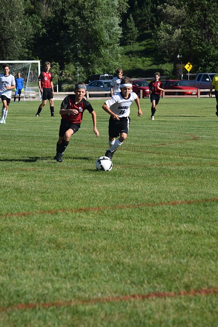 这些动作不 这些动作不