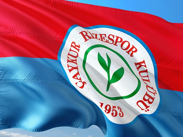 準化升級 準化升級